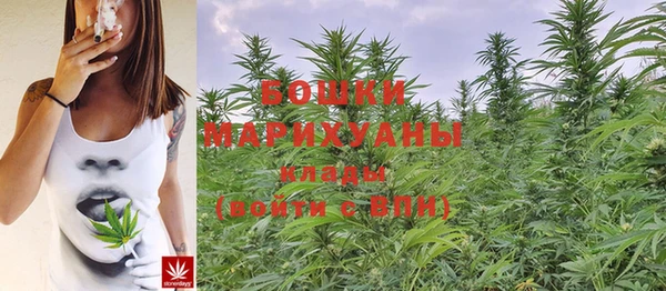 MESCALINE Гусев