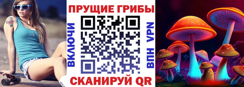 Псилоцибиновые грибы GOLDEN TEACHER  где купить наркоту  blacksprut маркетплейс  Кыштым 