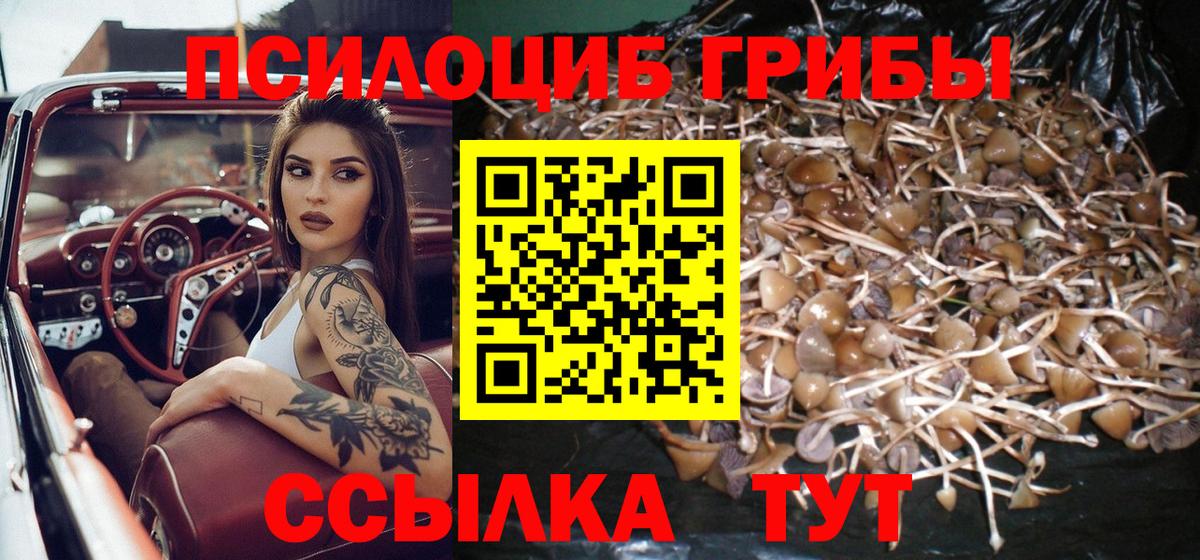 Псилоцибиновые грибы Magic Shrooms  Галлюциногенные грибы мицелий  Кыштым  цена наркотик  Вход с VPN 