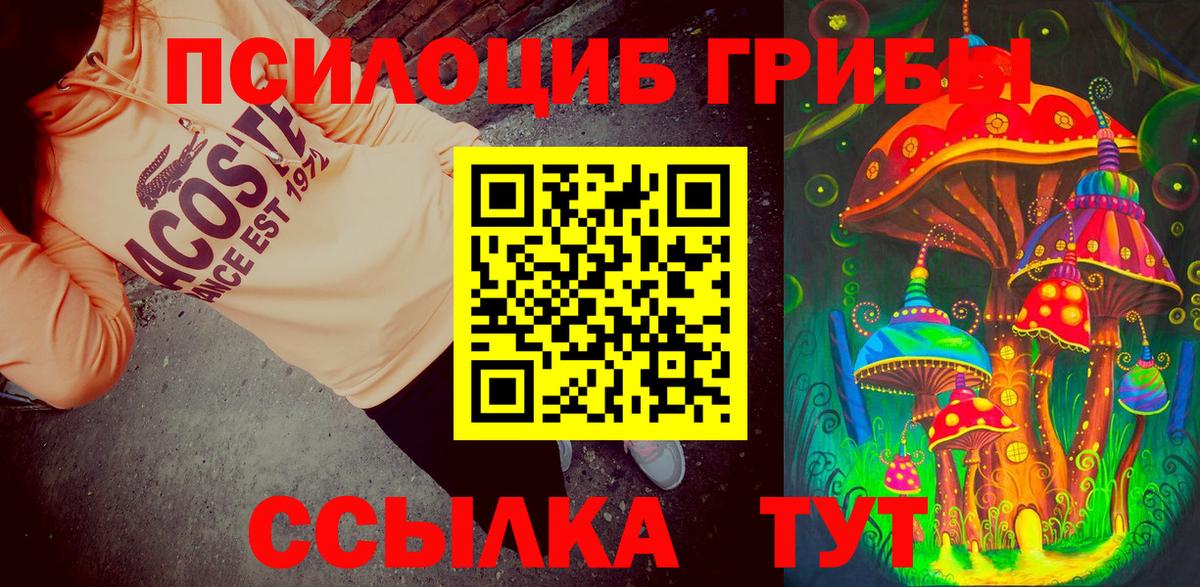Псилоцибиновые грибы мицелий Кыштым